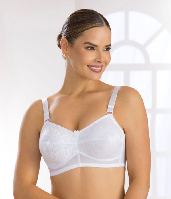 Brasier reductor powernet 30034